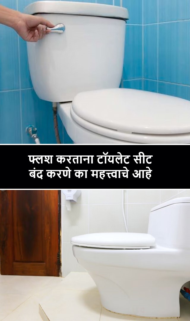 फ्लश करताना टॉयलेट सीट बंद करणे का महत्त्वाचे आहे?