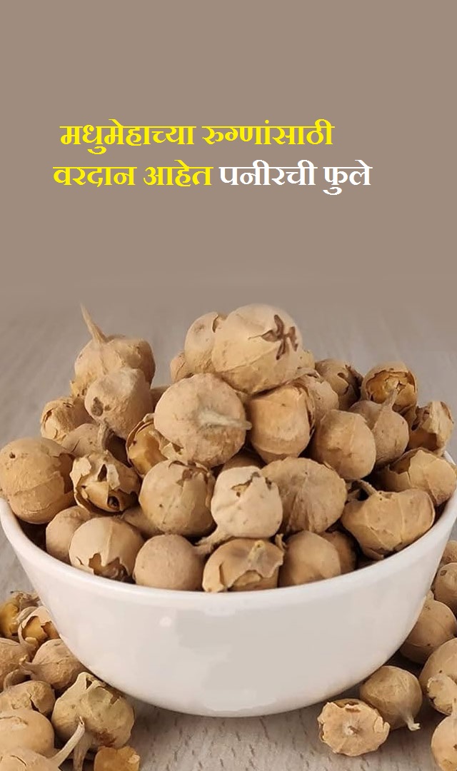 पनीरची फुले मधुमेहाच्या रुग्णांसाठी वरदान आहेत