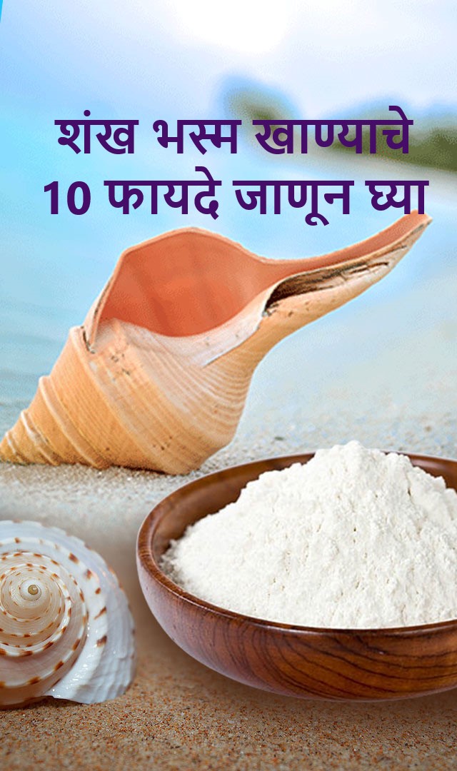 शंख भस्म खाण्याचे 10 फायदे जाणून घ्या