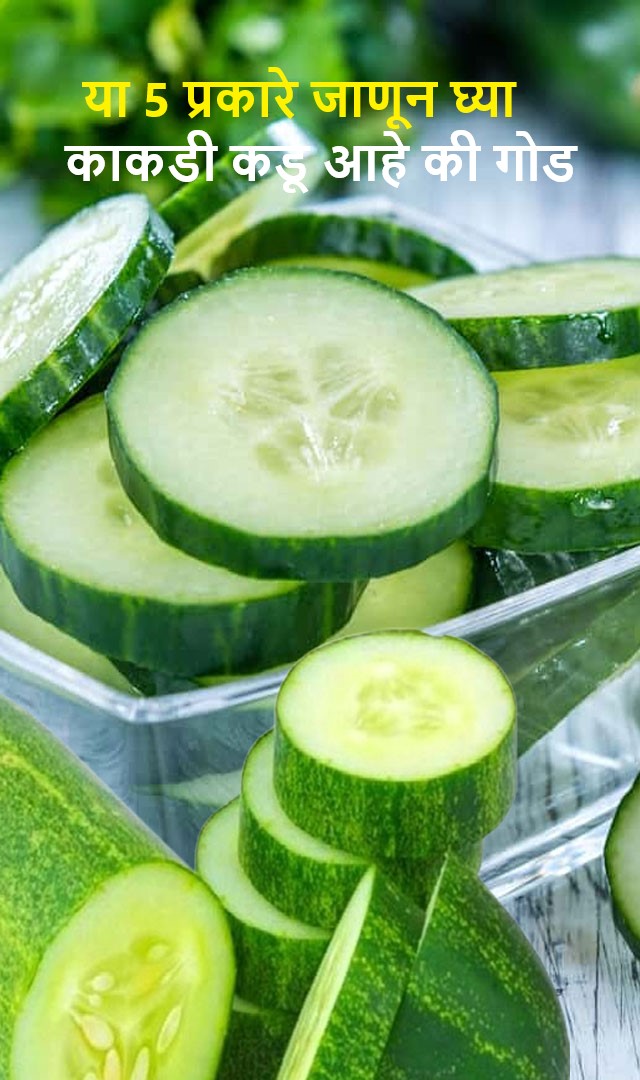  काकडी कडू आहे की गोड या 5 प्रकारे जाणून घ्या