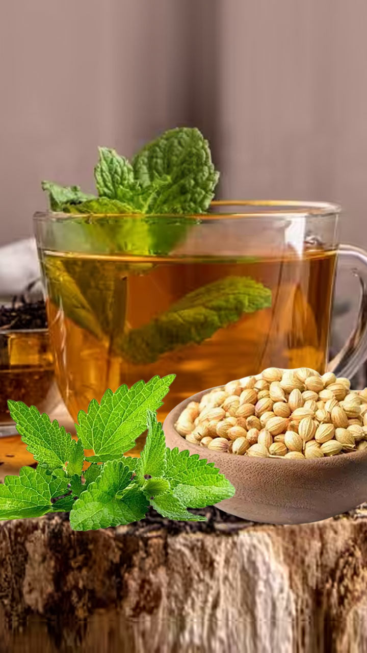 शरीराला थंड ठेवण्यासाठी या 5 Herbs खूप फायदेशीर