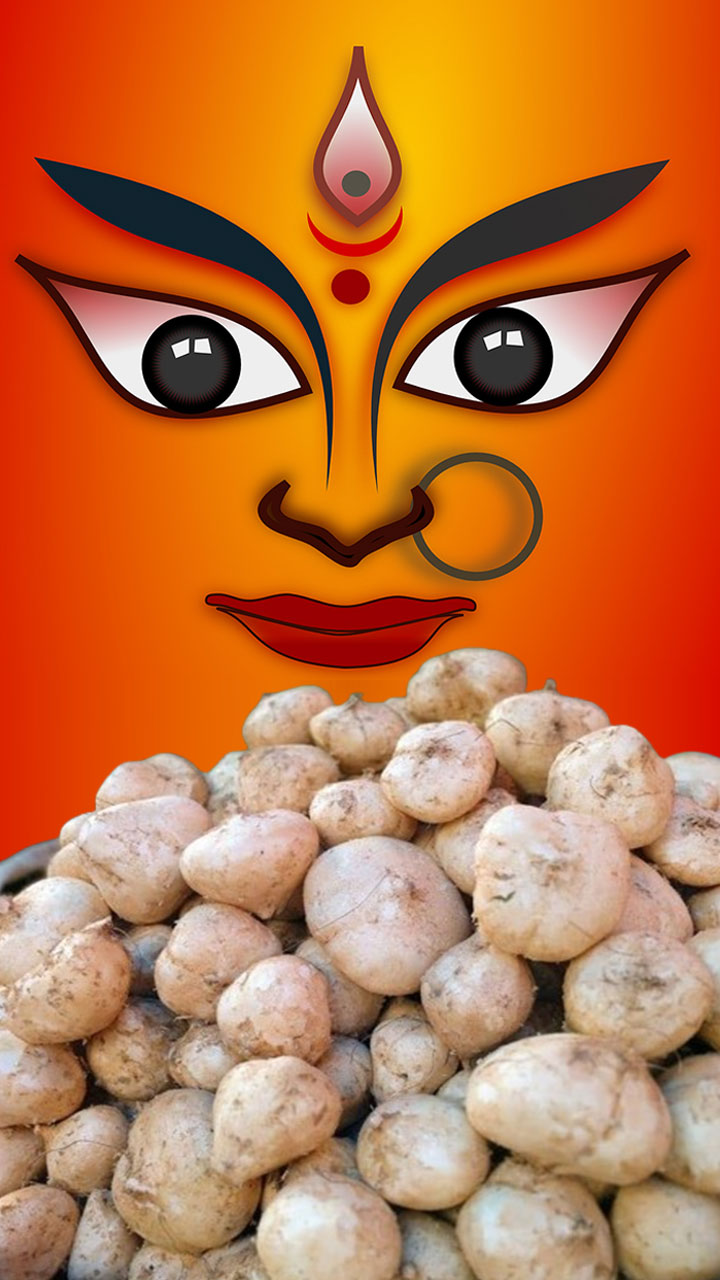 नवरात्रीच्या व्रतामध्ये मिश्रीकंदाचा अवश्य समावेश करा.