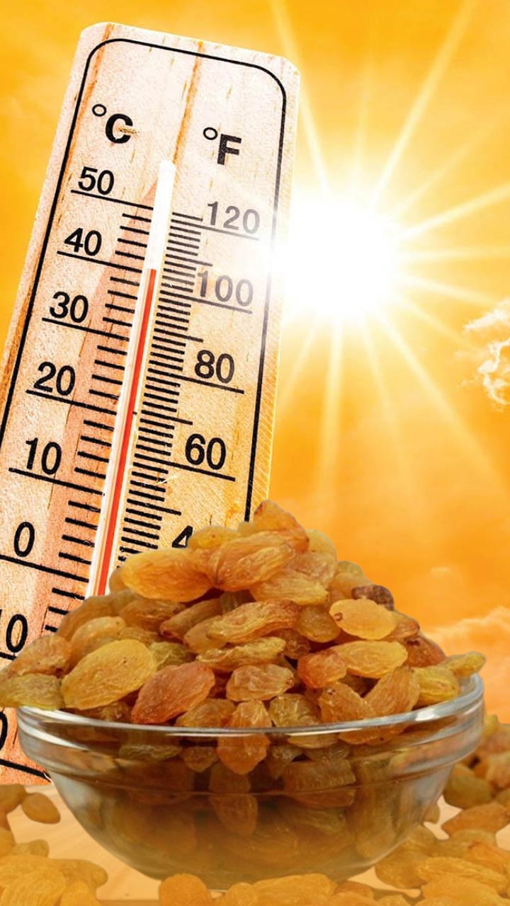 उन्हाळ्यात किती मनुके खावेत?