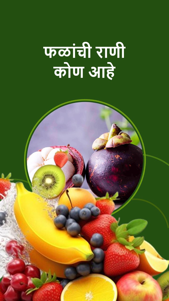 फळांची राणी कोण आहे?