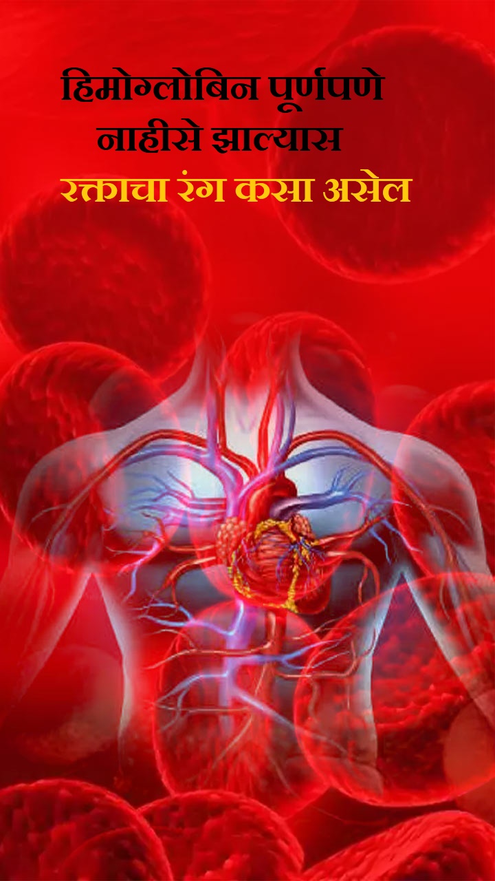 हिमोग्लोबिन पूर्णपणे नाहीसे झाल्यास रक्ताचा रंग कसा असेल