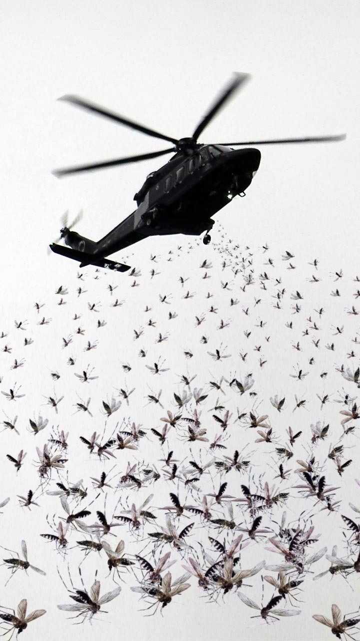 हा देश हेलिकॉप्टरने लाखो डासांना बोलवत आहे