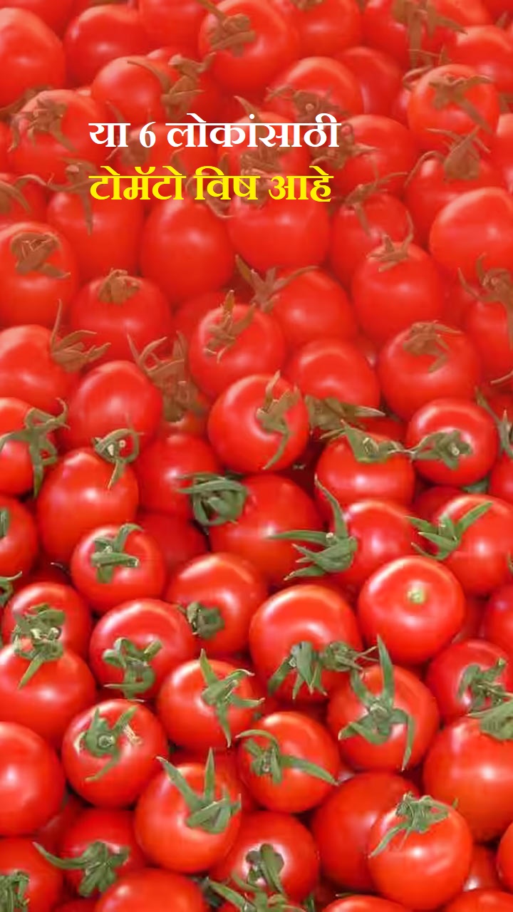 या 6 लोकांसाठी टोमॅटो विष आहे