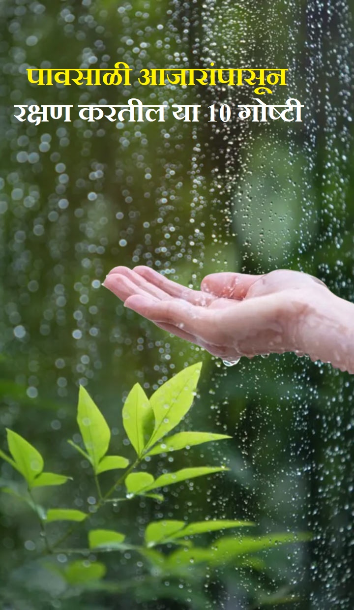 या 10 गोष्टी पावसाच्या आजारांपासून रक्षण करतील