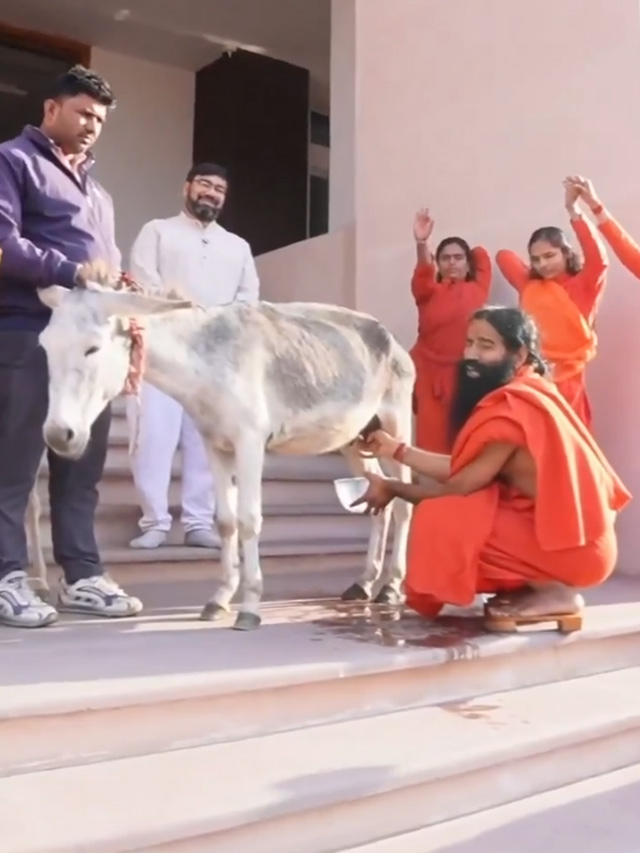 बाबा रामदेव यांनी गाढविणीच्या दुधाचे फायदे सांगितले