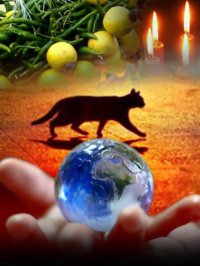 जगामध्ये प्रचलित असलेल्या अधंश्रद्धांबद्दल जाणून तुम्हाला आश्चर्य वाटेल. 