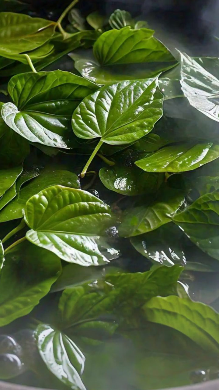 नागलीची पाने पाण्यात उकळून पिण्याचे फायदे