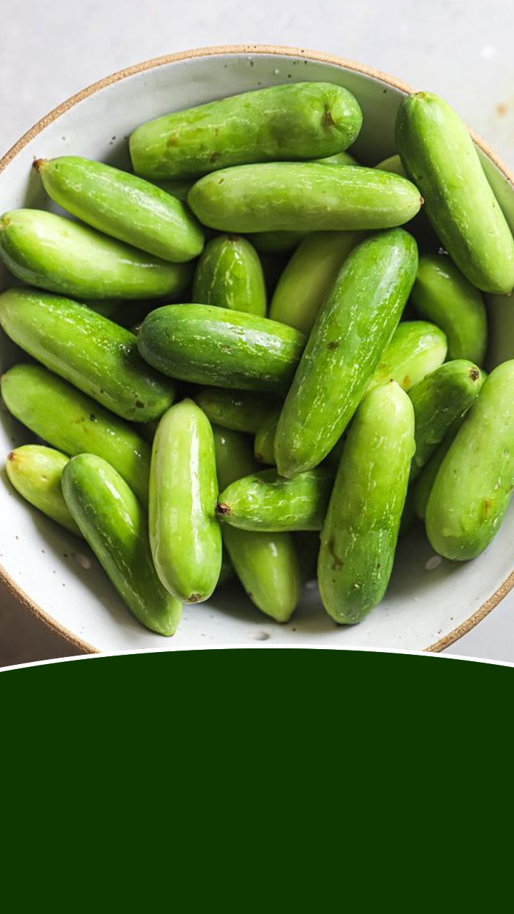 आयुर्वेद Ivy Gourd बद्दल काय म्हणतो?