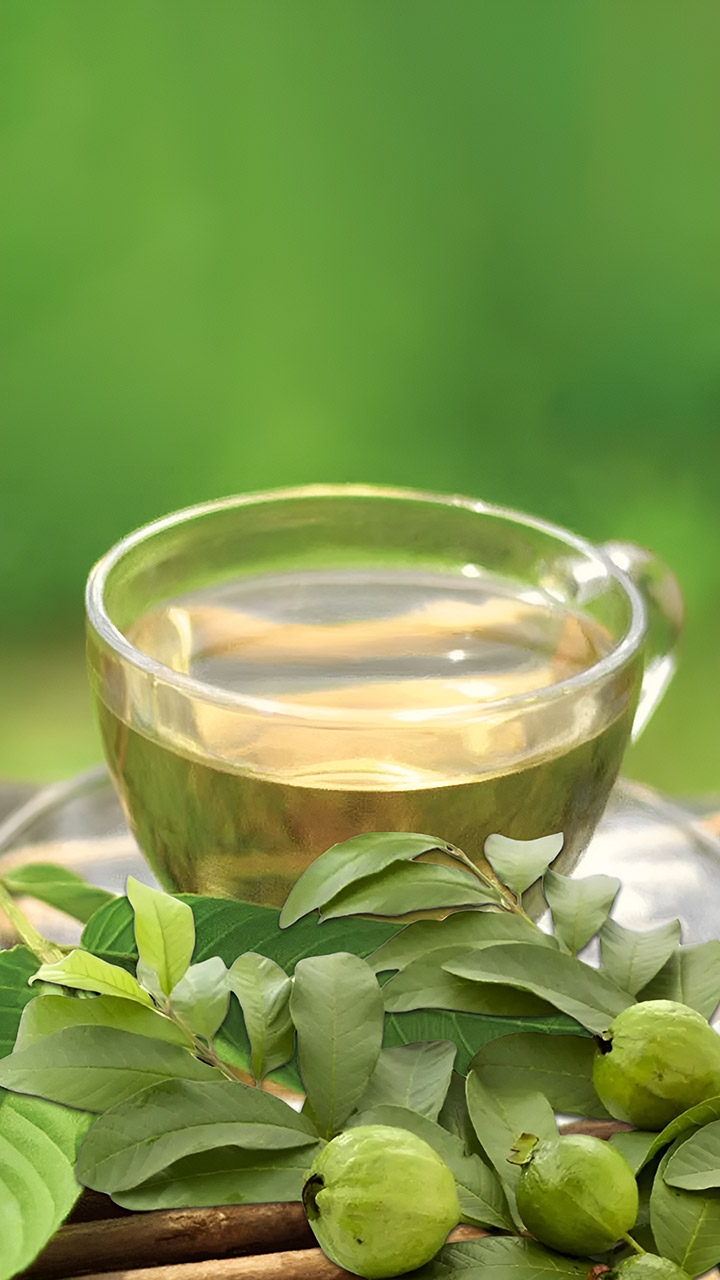 पेरूच्या पानांच्या चहाचे १० आश्चर्यकारक फायदे