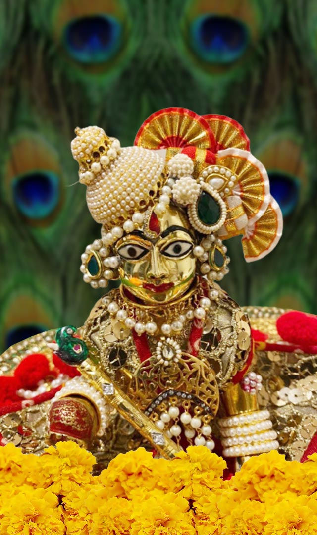 Janmashtami 2022 श्रीकृष्ण जन्माष्टमीला ही 10 कामे करावीत