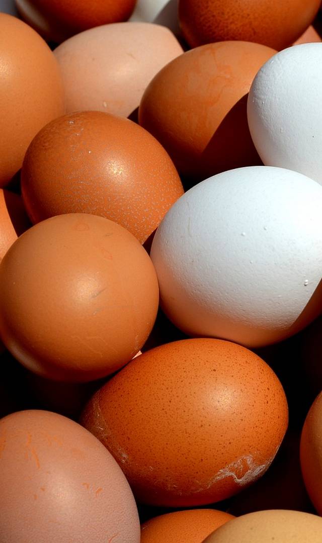 simple tips to spot fake eggs