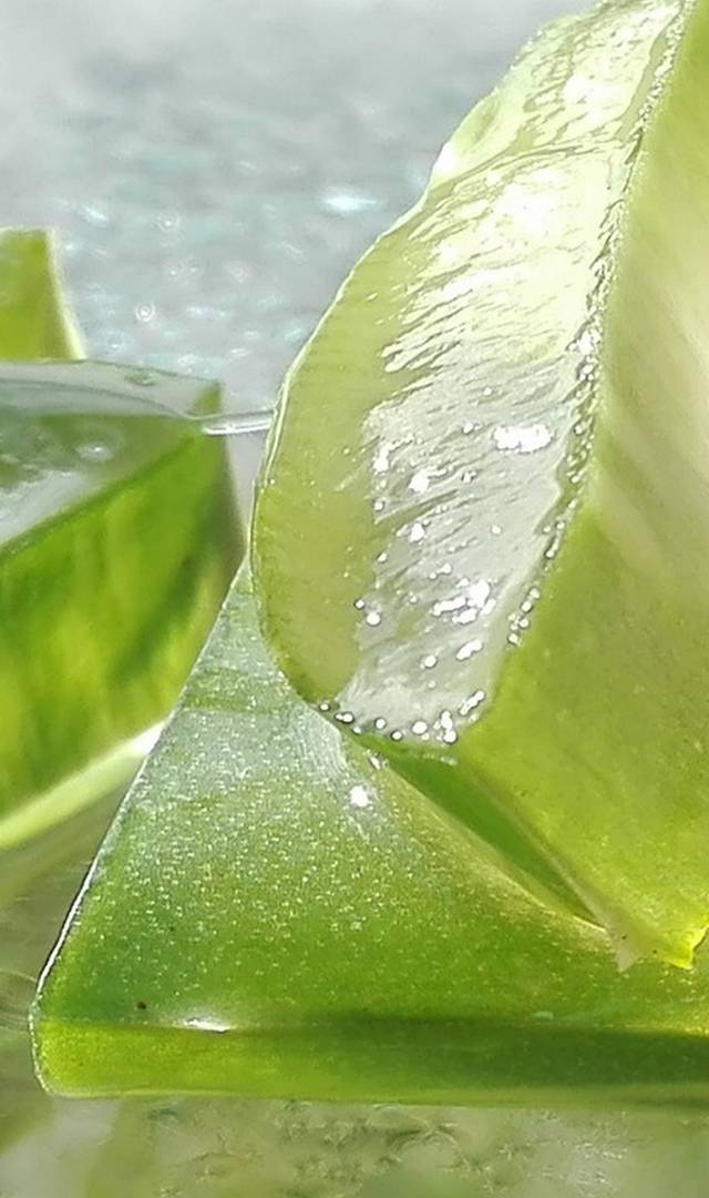 వేసవి తాపం నుంచి కాపాడే 6 హెర్బల్ పానీయాలు