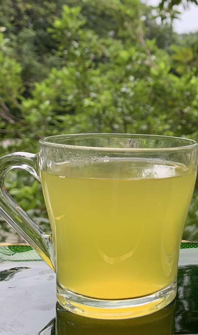 ఖాళీ కడుపుతో మునగ ఆకుపొడి నీరు తాగితే ప్రయోజనాలు ఏమిటి?