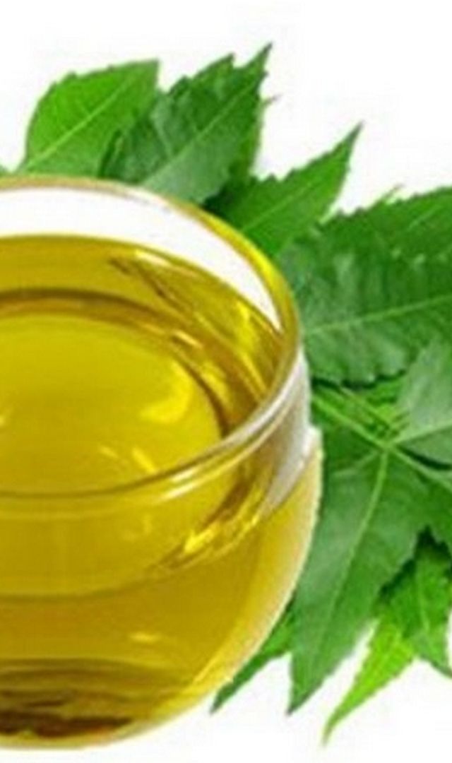 పరగడపున వేప నీరు తాగితే కలిగే ప్రయోజనాలు ఇవే