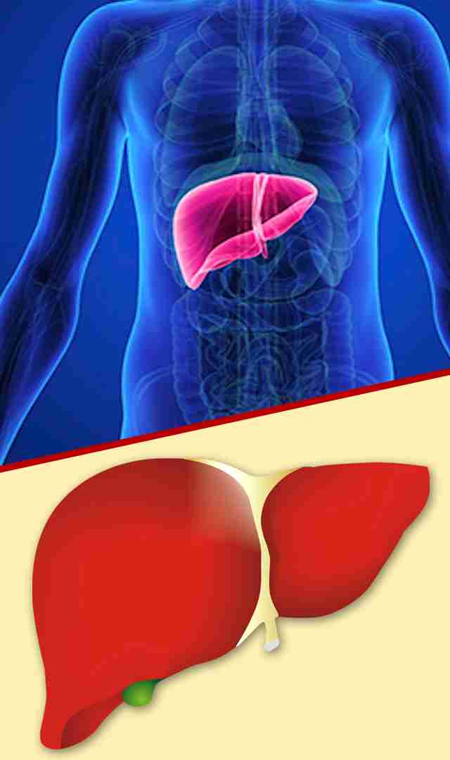 ఇవి తింటే చాలు మీ కాలేయం ఆరోగ్యం మీ చేతుల్లోనే