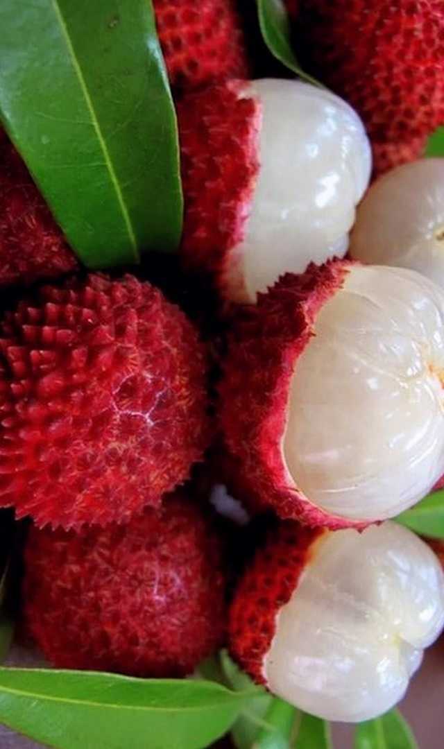 వేసవిలో శక్తినిచ్చే లిచి పండ్లు, తింటే 8 అద్భుత ప్రయోజనాలు