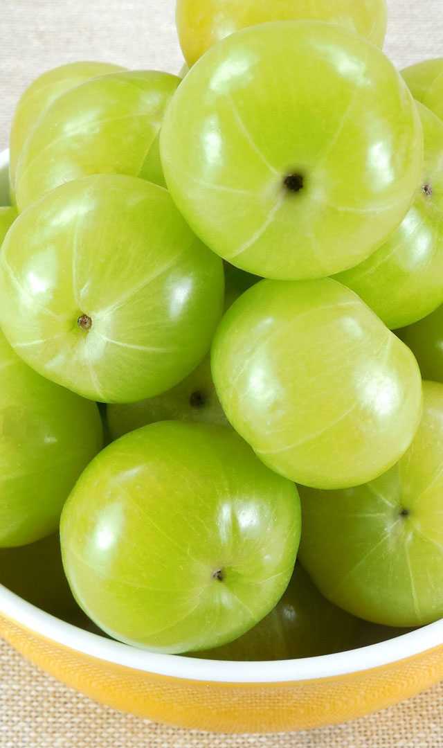 వేసవిలో ఉసిరి కాయలు తింటే కలిగే 9 ప్రయోజనాలు