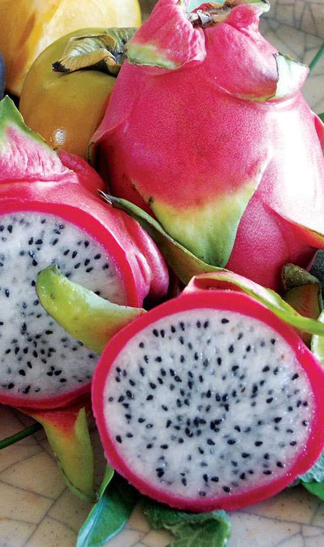 డ్రాగన్ ఫ్రూట్ తినేవారు తెలుసుకోవాల్సిన విషయాలు