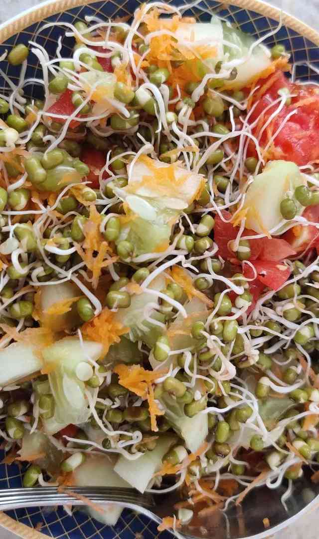 మొలకెత్తిన గింజలు తింటే ఎన్ని ఆరోగ్య ప్రయోజనాలో తెలుసా?