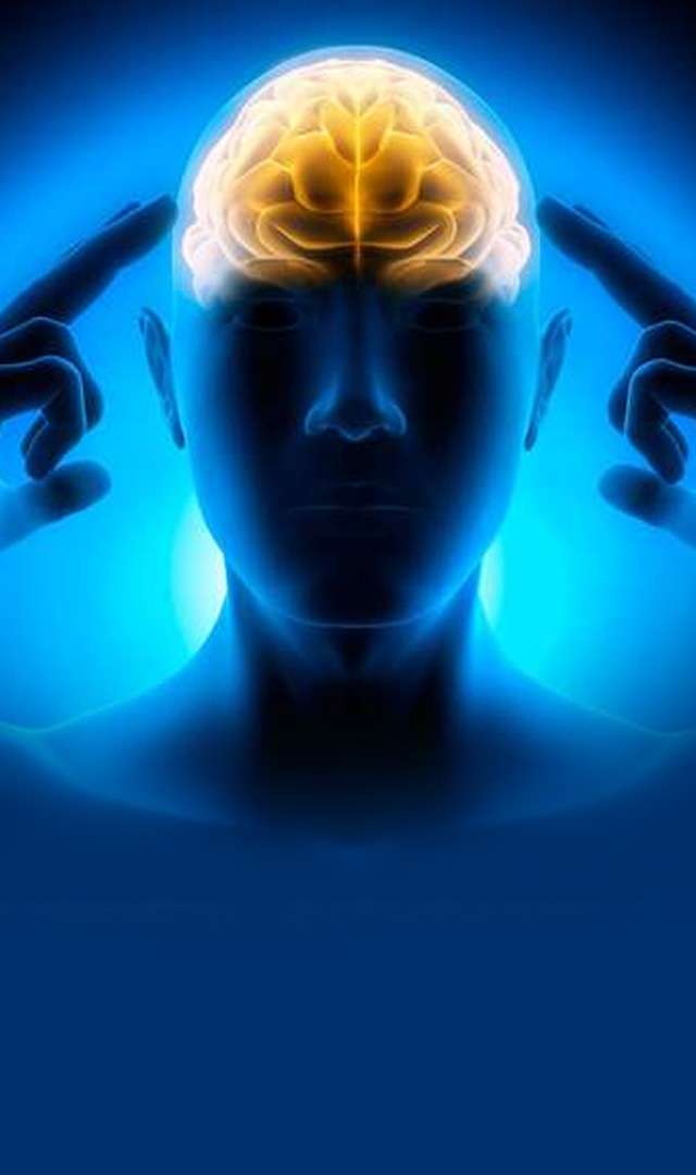 మెదడు శక్తిని పెంచే ఆహారం ఏంటో తెలుసా?