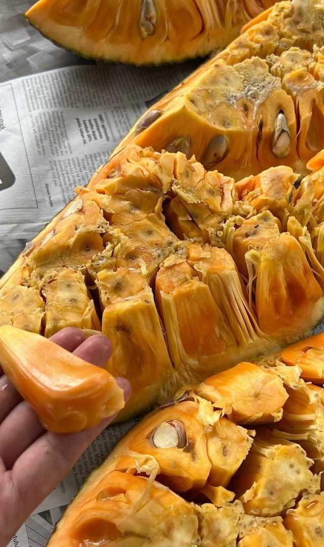 పనసపండు తింటే 8 ఆరోగ్య ప్రయోజనాలు, ఏంటవి?