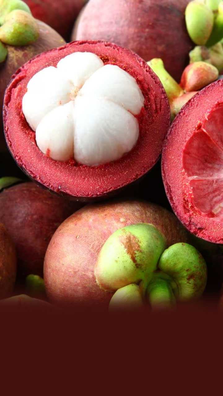 క్వీన్ ఆఫ్ ఫ్రూట్ మాంగోస్టీన్ తింటే ప్రయోజనాలు ఏమిటి?