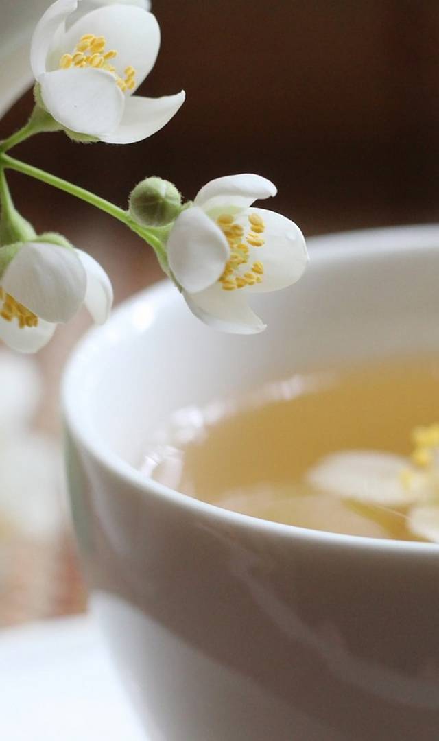 చర్మ సౌందర్యానికి జాస్మిన్ ఆయిల్, 8 ఉపయోగాలు