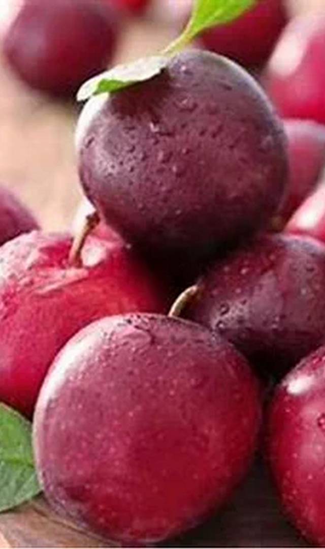 ప్లమ్ ఫ్రూట్ లేదా ఆల్‌బుఖరా పండ్లు ఎందుకు తినాలో తెలుసా?