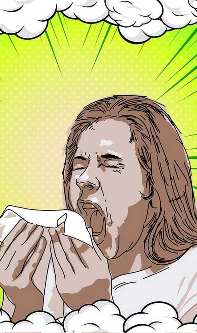 వర్షా కాలంలో ఎలెర్జీలను అడ్డుకునే 7 పదార్థాలు, ఏంటవి?