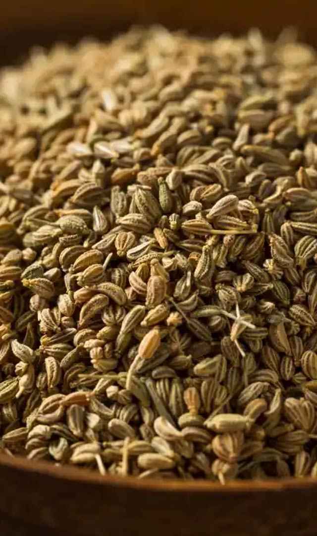 వాము తీసుకుంటే కలిగే ఆరోగ్య ప్రయోజనాలు