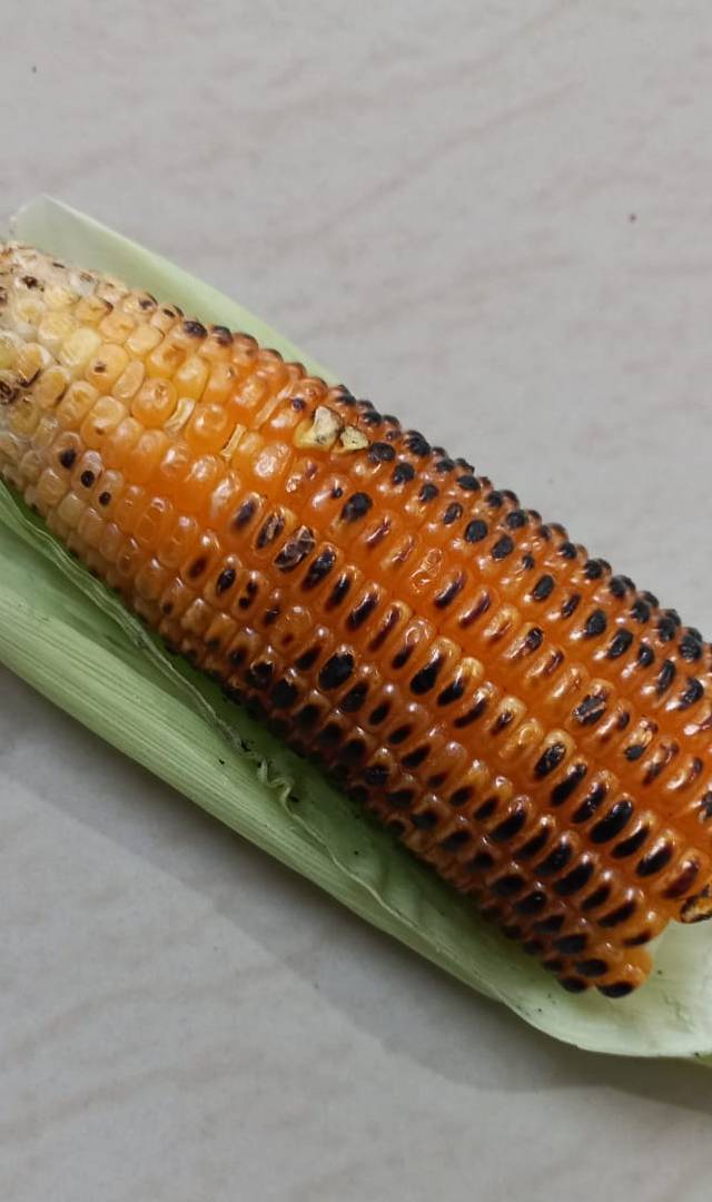 మొక్కజొన్న కండెలు, తింటే ప్రయోజనాలు ఏమిటంటే?