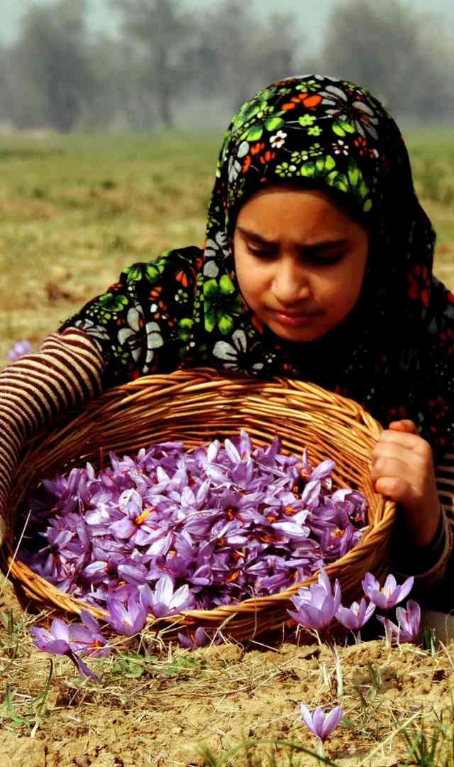 కుంకుమ పువ్వు ఆరోగ్యానికి చేసే మేలు ఎంతో తెలుసా?