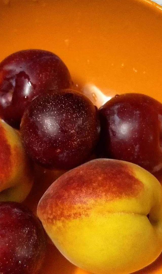 ప్లమ్ ఫ్రూట్ లేదా ఆల్‌బుఖరా పండ్లు ఎందుకు తినాలో తెలుసా?