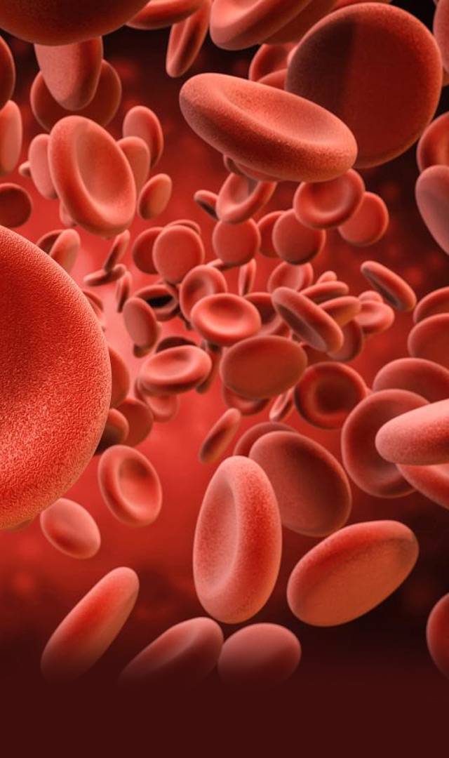  డెంగ్యూ జ్వరంతో రక్తంలో పడిపోయిన ప్లేట్‌లెట్లు పెంచుకునే మార్గం ఇదే