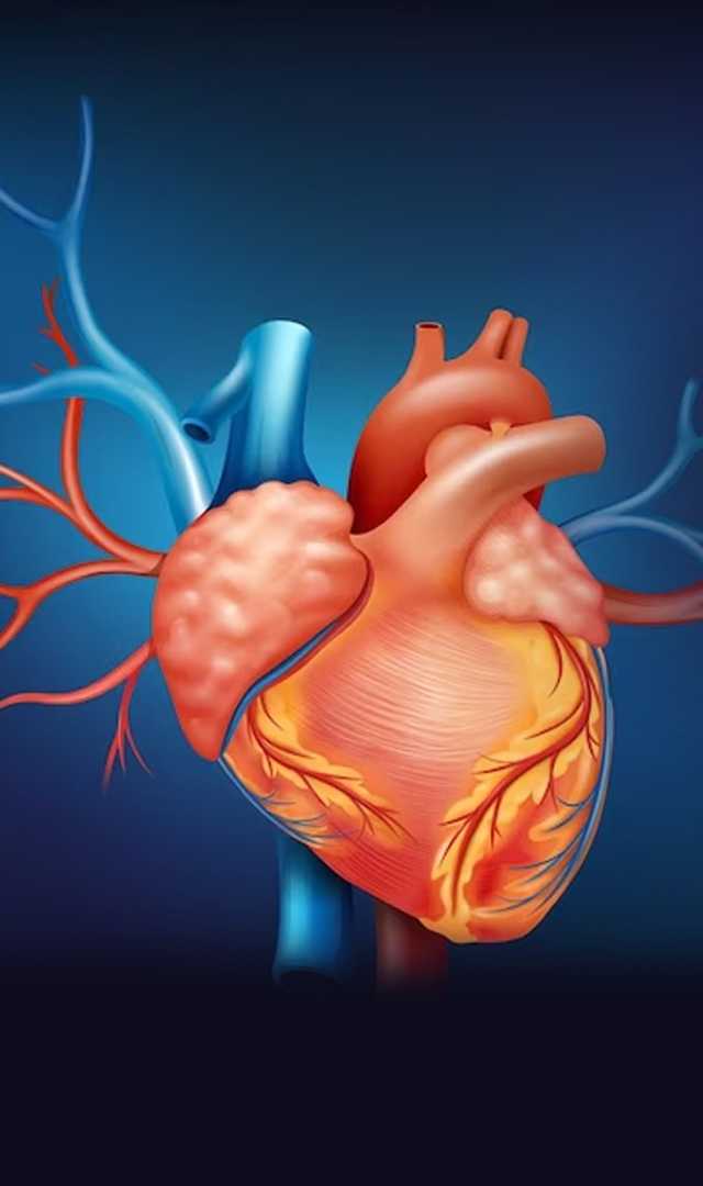 గుండెలో బ్లడ్ క్లాట్స్ ఏర్పడకుండా చేయాల్సినవి ఏమిటి?