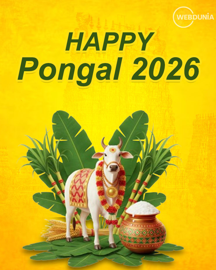 happy pongal